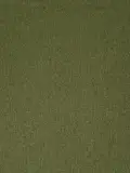 Algonquin Green