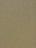 Sandstone Beige